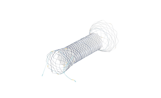 HRC HANAROSTENT® Intestine (CCC)