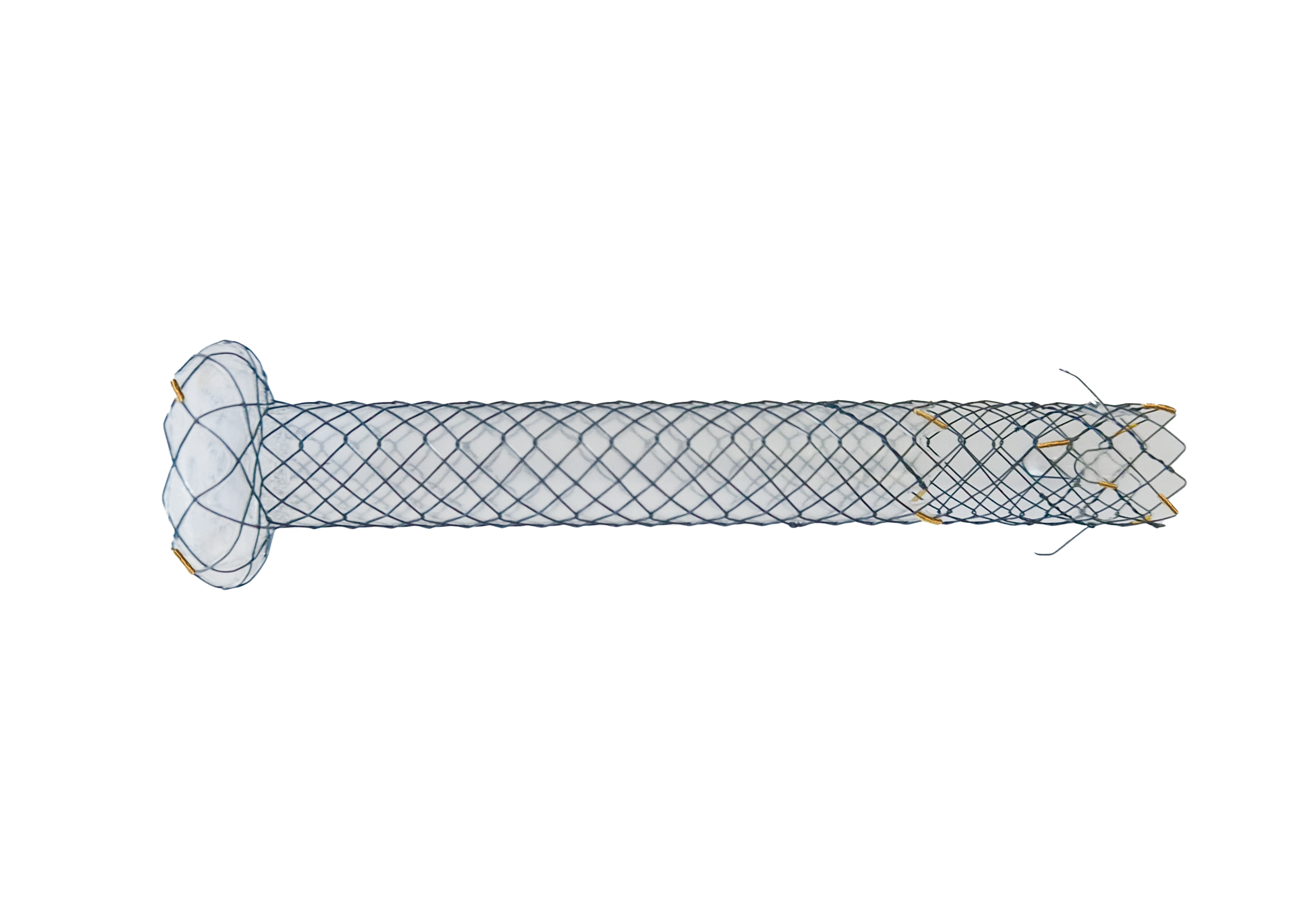 BPE HANAROSTENT® FAST™ Biliary Flap (CCC)