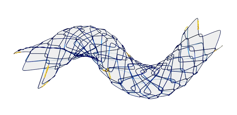 BNHL HANAROSTENT® FAST™ Biliary Flap (CCC)