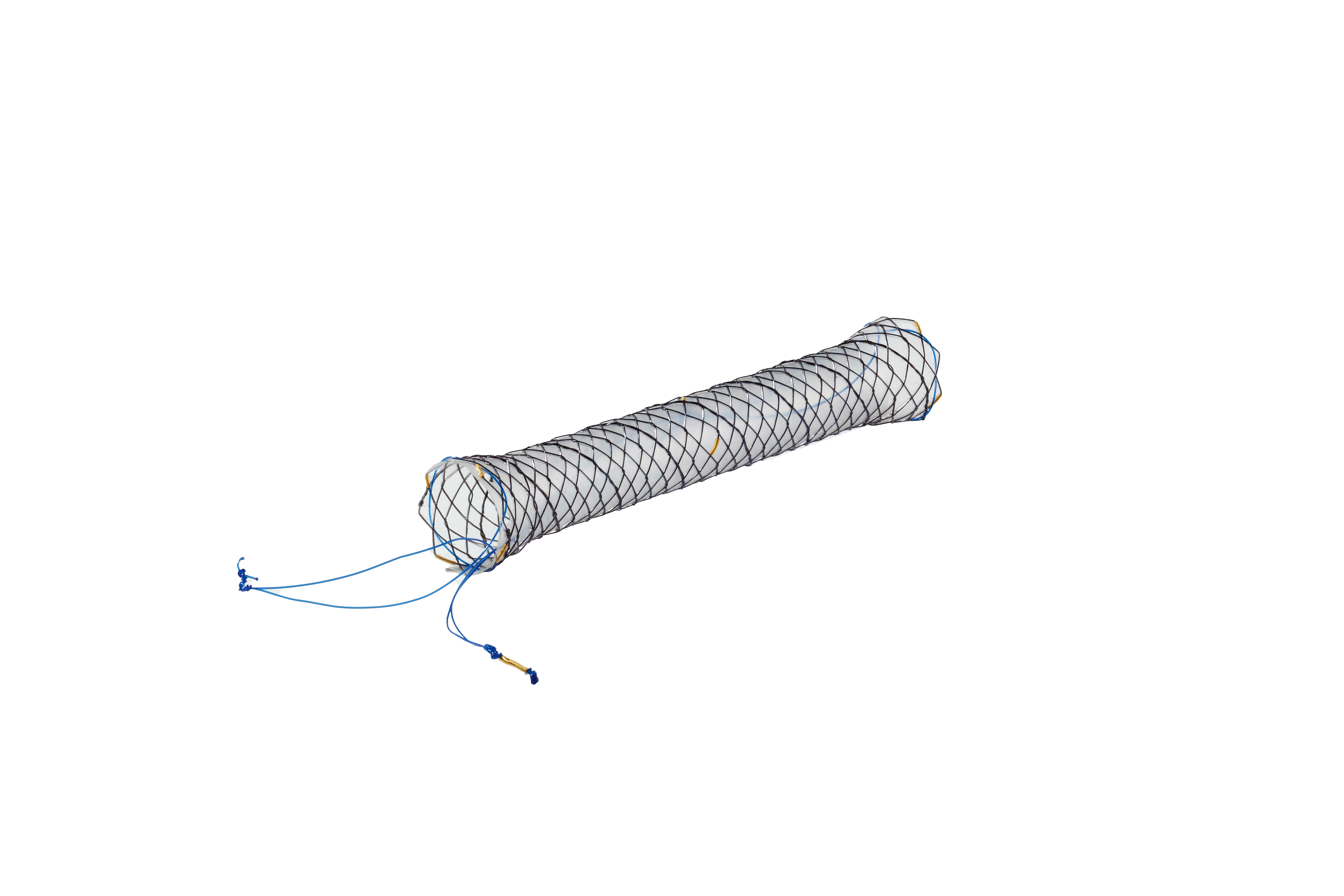 BCBC HANAROSTENT® FAST™ Biliary Flap (CCC)