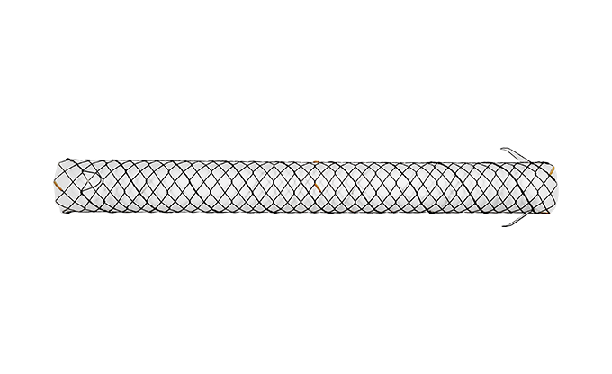 BCG HANAROSTENT® FAST™ Biliary Flap (CCC)