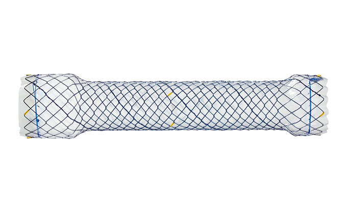 ECN CHOOSTENT® Esophagus Valve ST (CCN)