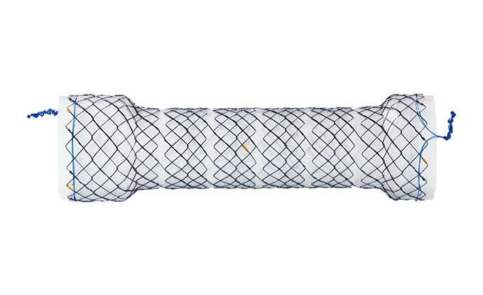 NESA CHOOSTENT® Esophagus Valve ST (CCN)