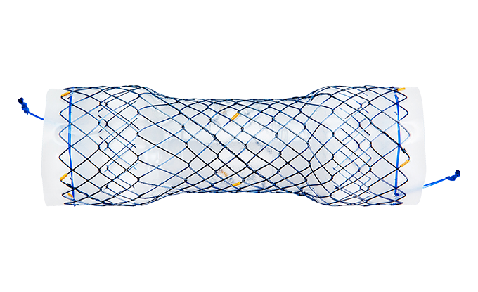 EPB CHOOSTENT® Esophagus Valve ST (CCN)