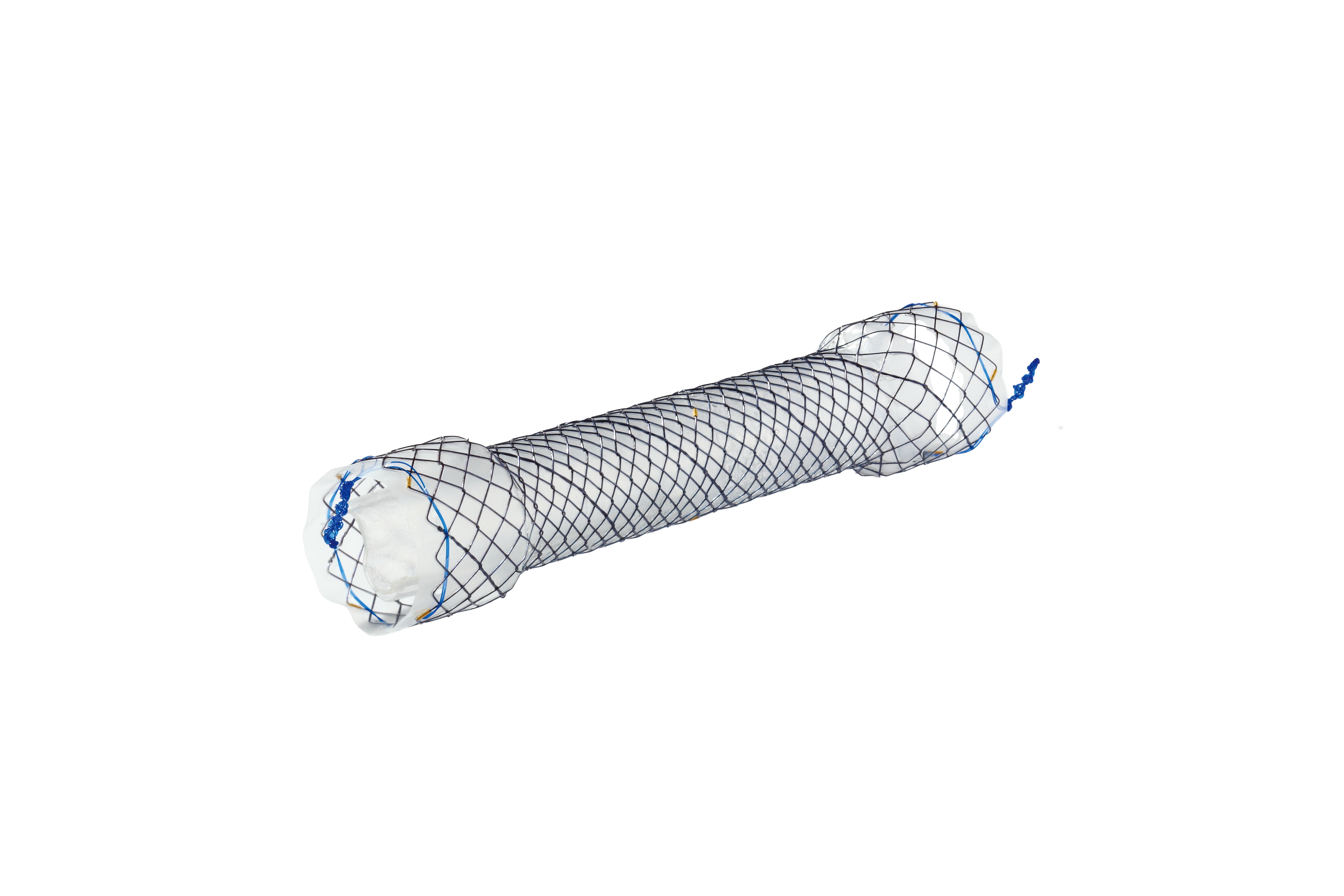EPC CHOOSTENT® Esophagus Valve ST (CCN)