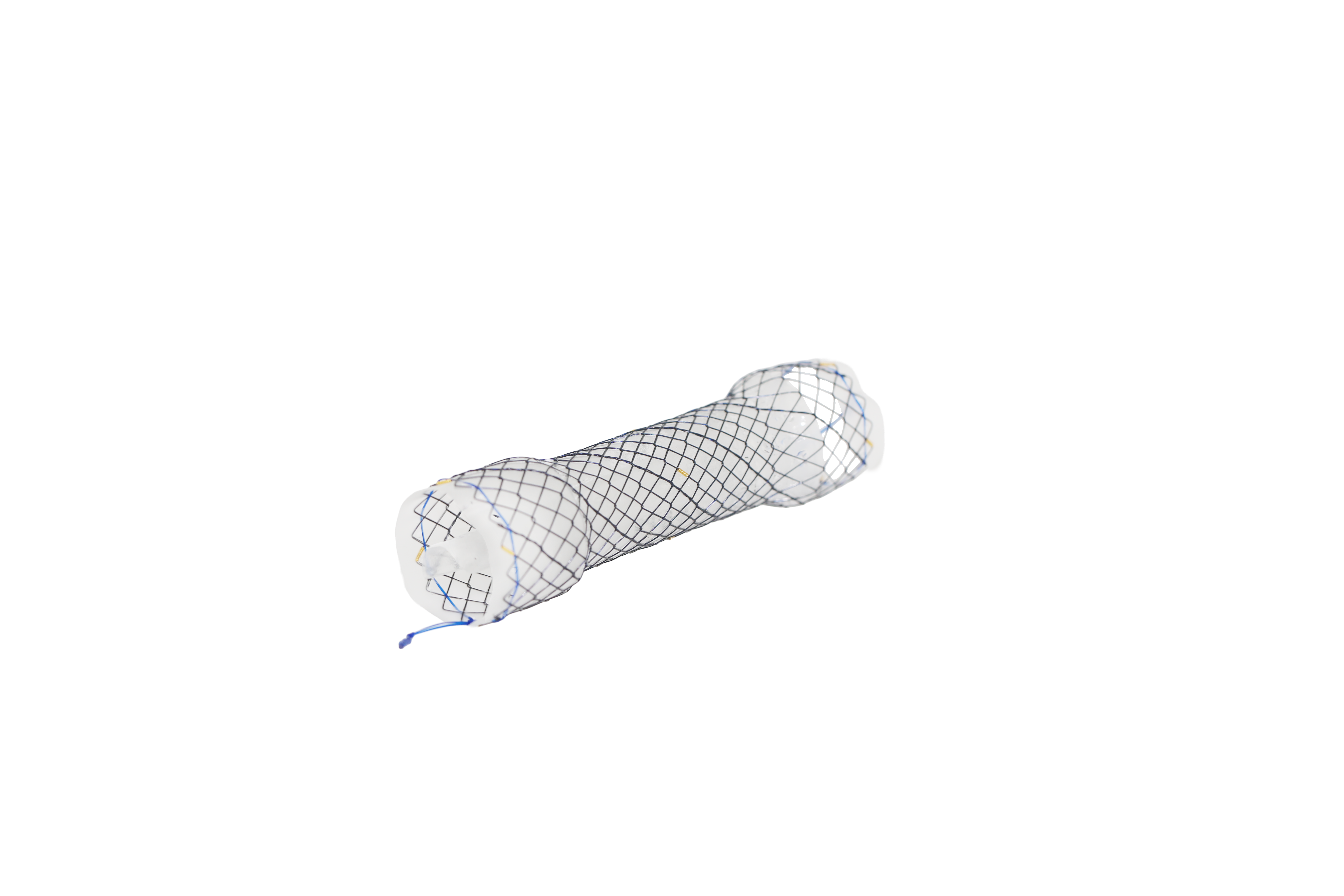 EPV CHOOSTENT® Esophagus Valve ST (CCN)