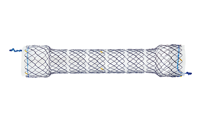 EPF CHOOSTENT® Esophagus Valve ST (CCN)
