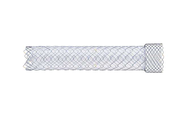 DPJF HANAROSTENT® LowAx™ Duodenum/Pylorus (NNN)