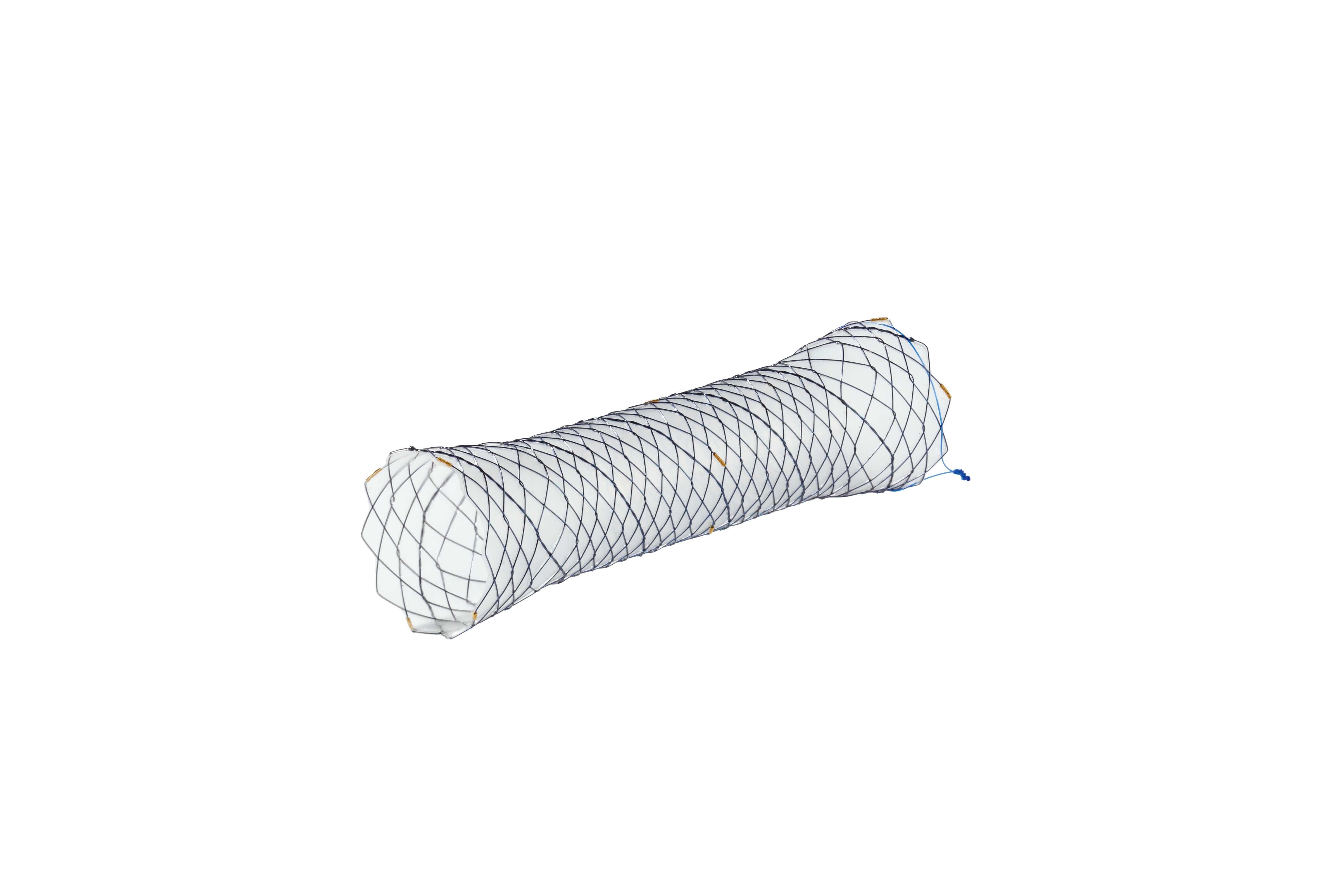 CCBA HANAROSTENT® TwynLay™ Colon/Rectum (NCN)