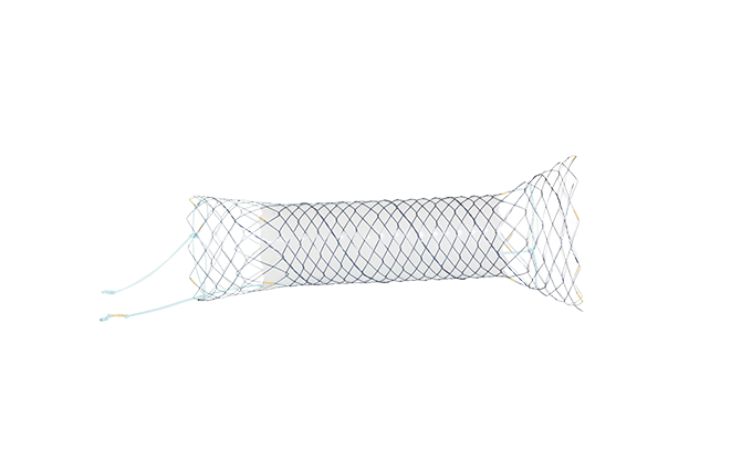 HRC HANAROSTENT® TwynLay™ Colon/Rectum (NCN)