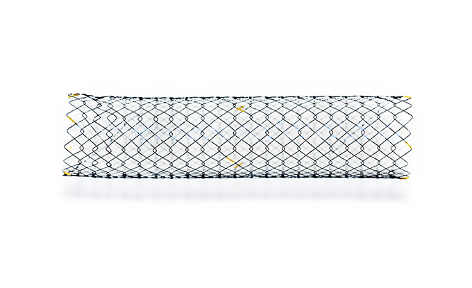 CNNS HANAROSTENT® TwynLay™ Colon/Rectum (NCN)