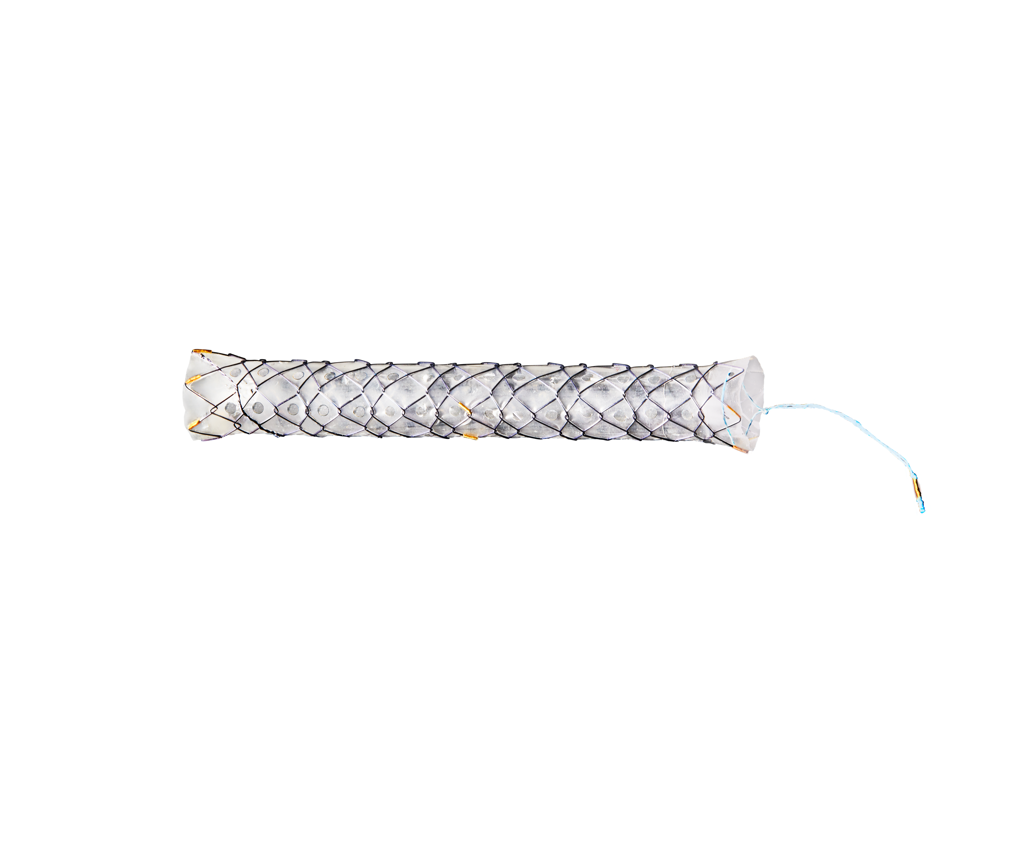 BMCL HANAROSTENT® Multi-Hole™ Biliary (CCC)