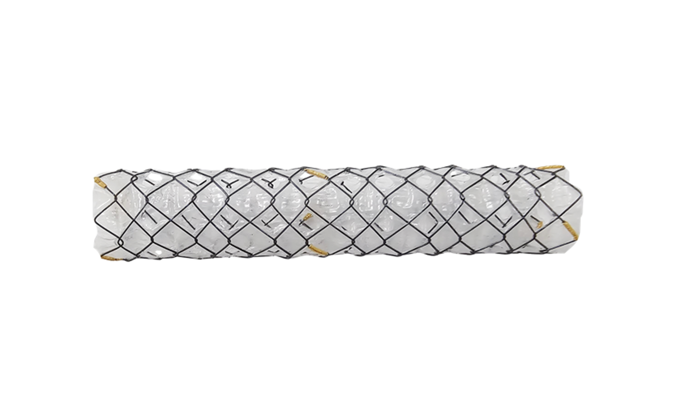 BMHS HANAROSTENT® Benefit™ Multi-Hole™ Biliary (CCC) 