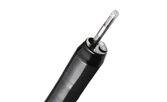 PB2020-M2